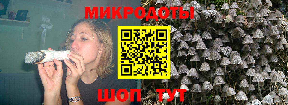 Галлюциногенные грибы Psilocybine cubensis Асбест