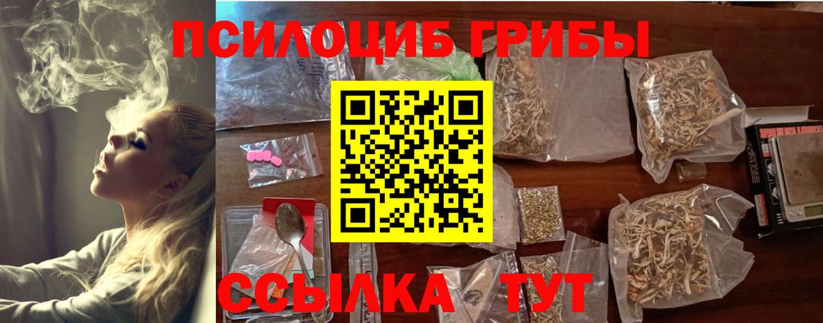 Галлюциногенные грибы Psilocybine cubensis  Вход с VPN  Асбест 